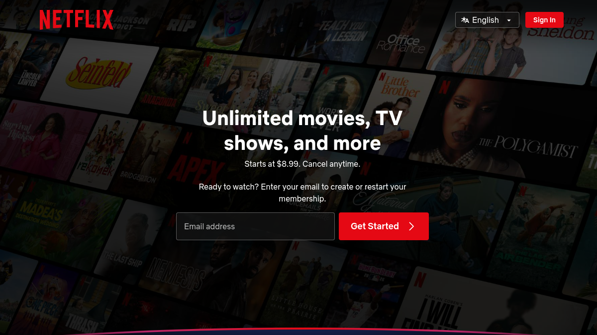 Netflix website overview