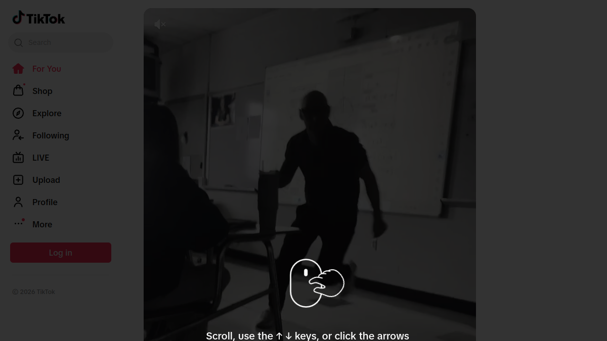TikTok website overview