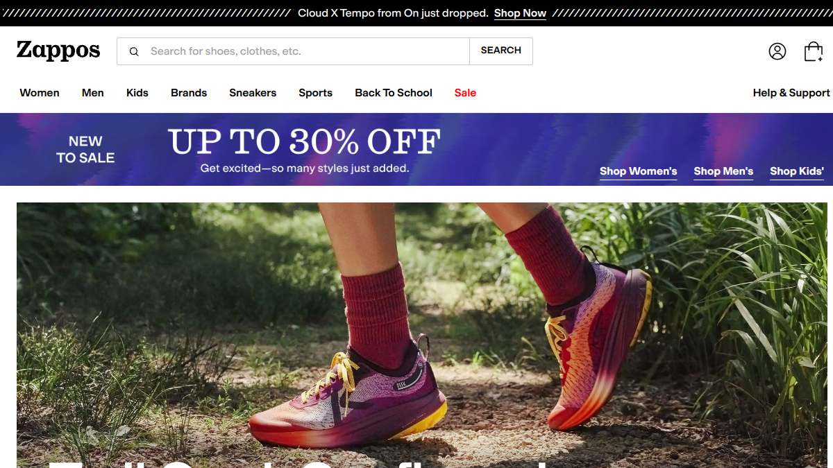Zappos website overview